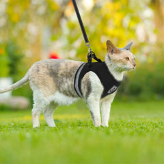 Breathable Cat Harness