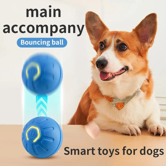 Ball Electronic Interactive Pet Toy