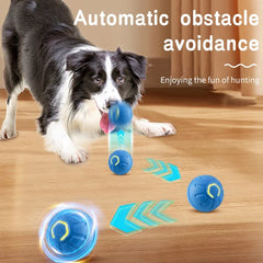 Ball Electronic Interactive Pet Toy