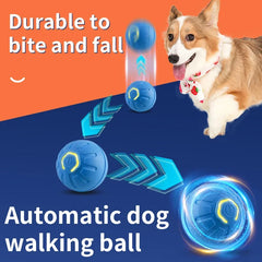 Ball Electronic Interactive Pet Toy