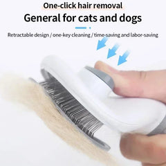 Hair Remover Brush for Dog and Cat